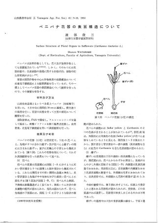 渡部俊三「ベニバナ花器の表面構造について」