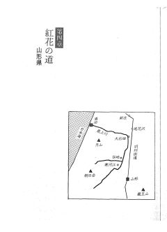 岩田浩太郎「紅花の道」